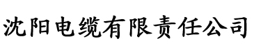 大黑香蕉网电缆厂logo